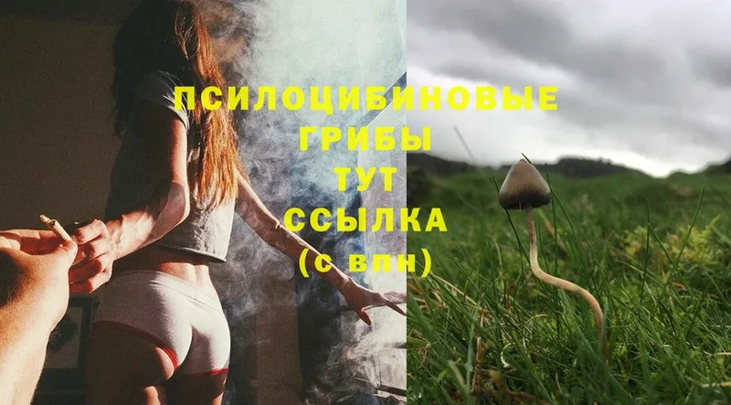 Галлюциногенные грибы Magic Shrooms  закладки  Белоусово 